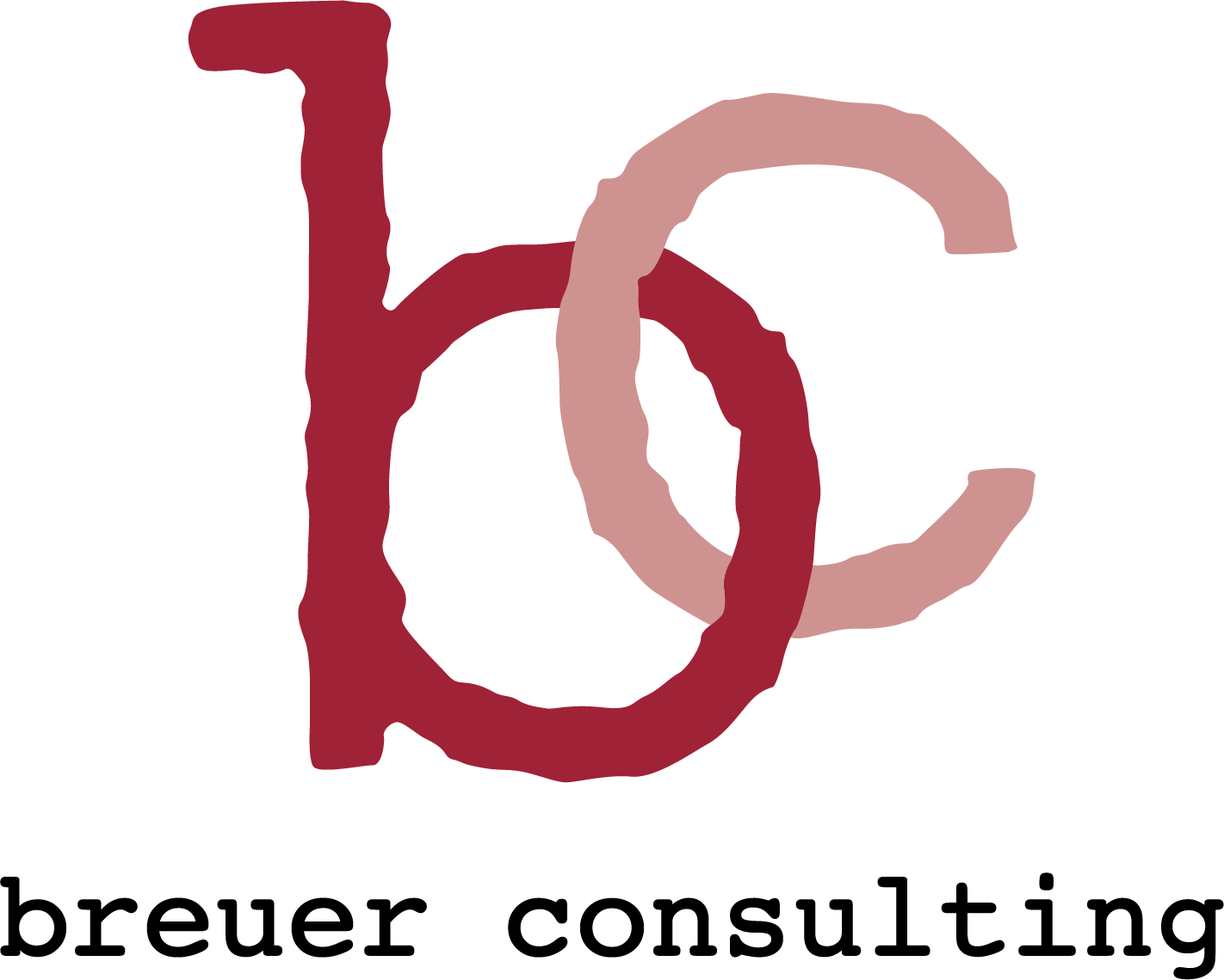 breuer consulting Logo